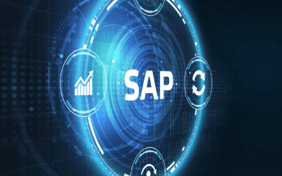 A importância do monitoramento SAP